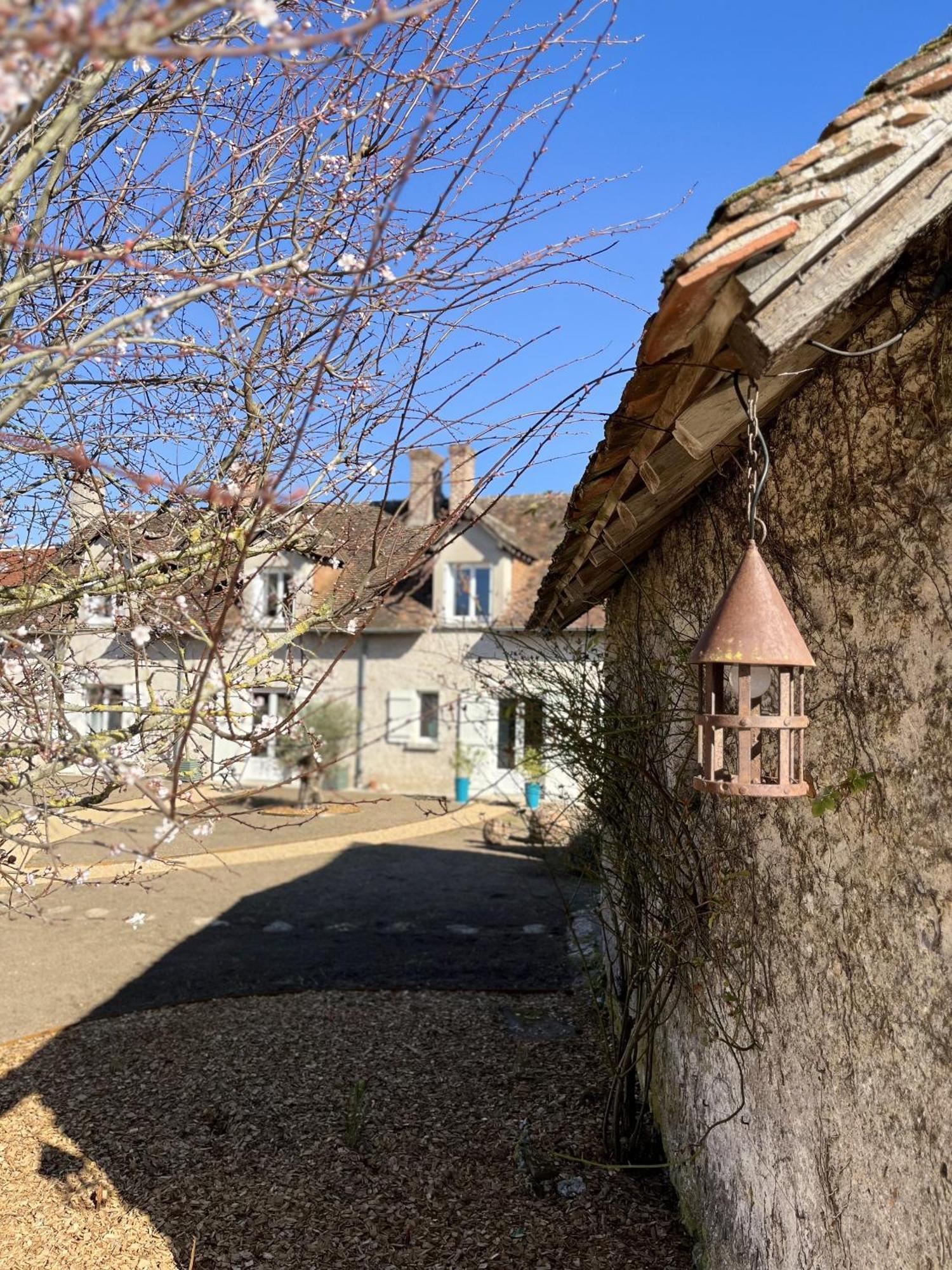 维讷伊Nuits De Loire -Entre Blois Et Chambord住宿加早餐旅馆 客房 照片